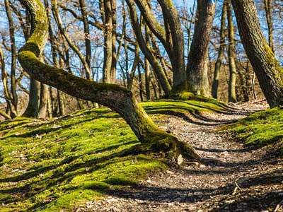 免费cc攻击测试